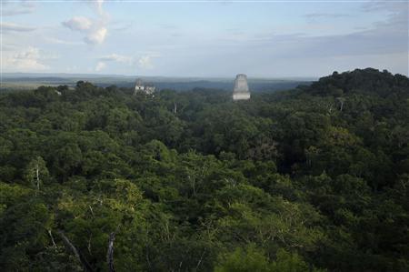 The ruins of the Maya temples of the ancient city of Tikal are seen December 14, 2012. REUTERS/Mike McDonald